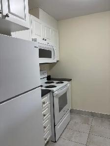 Renovated 1BR - 249 Windmill Unit 534 - Oct 1st - Heat/Water/PK - Photo 9