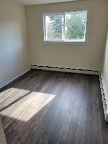Renovated 2BR w/ Balcony - Unit 8 - Sept 1st Heat/Wat Incl - Photo 2