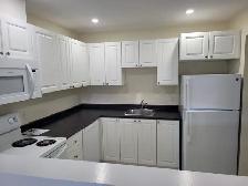 Renovated 2BR w/ Balcony - Unit 8 - Sept 1st Heat/Wat Incl - Photo 5
