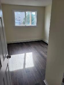 Renovated 2BR w/ Balcony - Unit 8 - Sept 1st Heat/Wat Incl - Photo 6