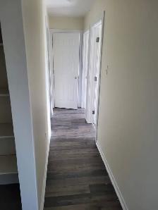 Renovated 2BR w/ Balcony - Unit 8 - Sept 1st Heat/Wat Incl - Photo 9