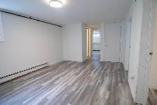 121 Mackan St, Thorold - All Inclusive 2 Bed Lower Unit - Photo 6