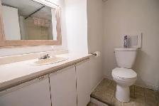 121 Mackan St, Thorold - All Inclusive 2 Bed Lower Unit - Photo 10