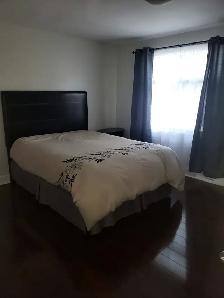 Large 2 Bedroom Apartment near Beechwood Area - Photo 6
