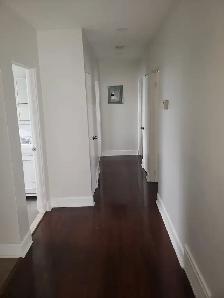 Large 2 Bedroom Apartment near Beechwood Area - Photo 7