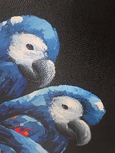 grande vente d été de l Eleveurs Laval d oiseaux exotiques