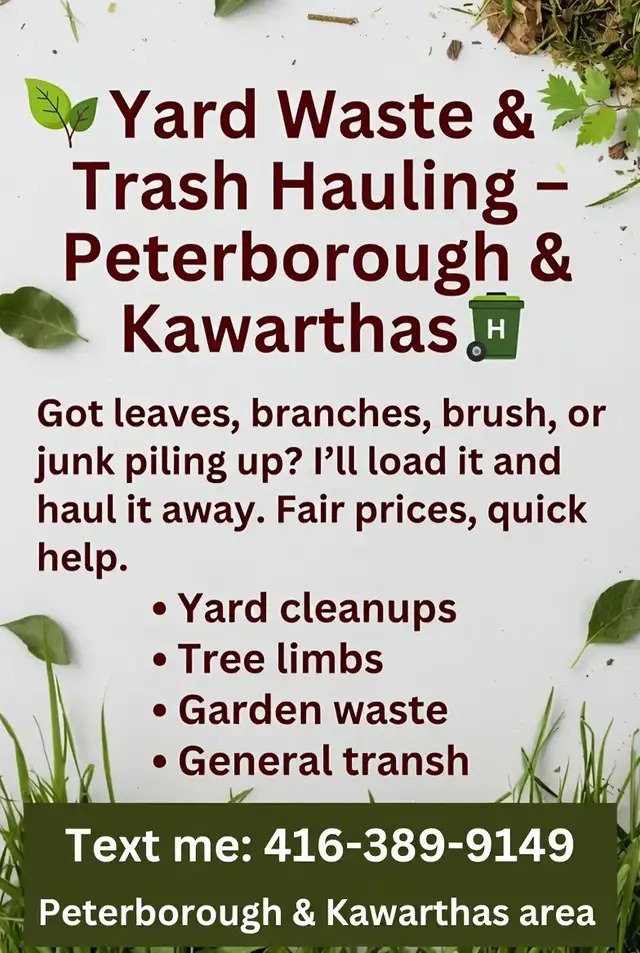 junk removal