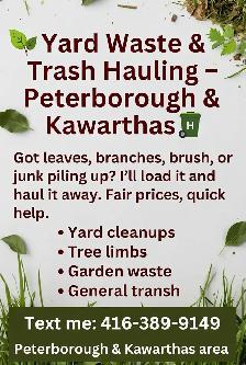 junk removal