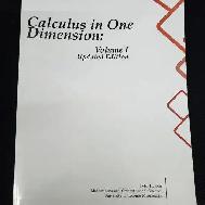 Calculus In One Dimension Volume 1 Updated Edition 14650338