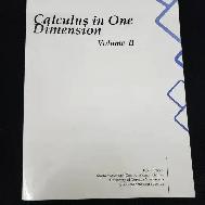 Calculus In One Dimension Volume 2 by Tyler Holden 14453335