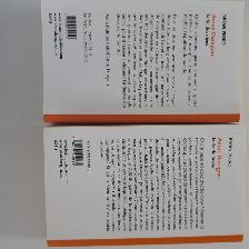 2LIVRES NEUFS ADO DE BRYAN PERRO LA CLÉ DE BRAHA LA FIN $5.00CHA - Photo 2