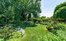 Beautiful Detached 3 Bedroom Home in Pleasant View - Toronto - Photo 9