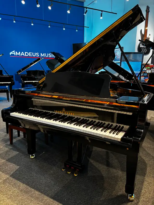 Young Chang 7' G-208C Grand Piano