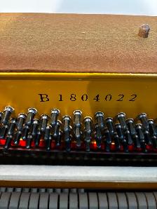 Yamaha Upright Piano M1A Satin Walnut - Photo 2