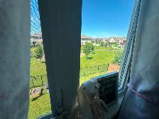 3 Bed 2.5 Bath Townhouse in Barrhaven, 2 Parking, Plaza   Sprt C - Photo 15