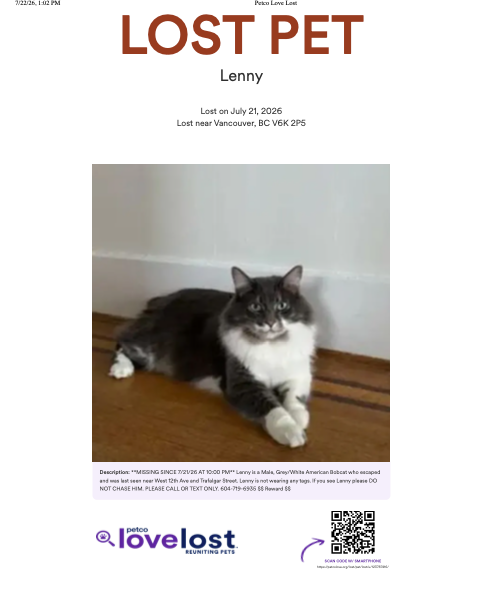 LOST PET - GREY/WHITE / AMERICAN BOBCAT / MALE - $ Reward $