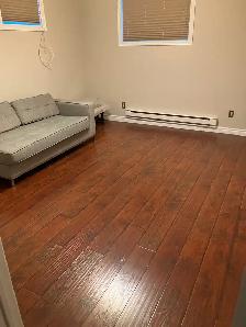 Beautiful East End Apartment