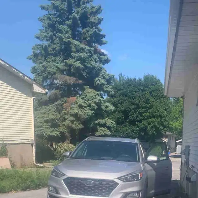 Junk Removal
