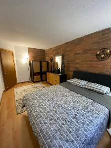 1 room for rent short term Downtown Montreal near Atwater M - Photo 4
