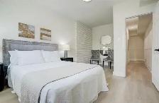 2 Bedroom Basement with Separate Entrance - Photo 7