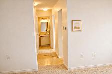 Clean, Comfortable 1 Bedroom Apartment – 1600 Adelaide London - Photo 5