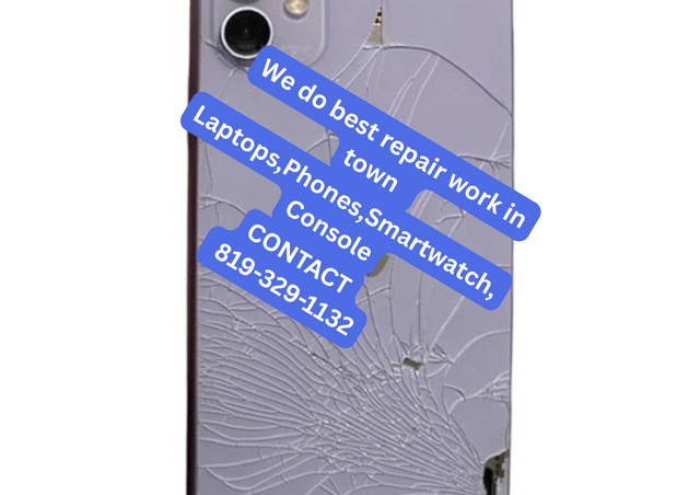 We repair Iphone 12 pro max