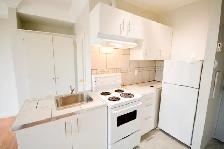 Studio Bachelor Apartment in Corktown - Photo 2