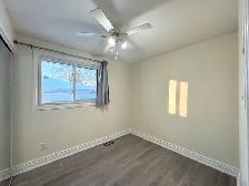 BEAUTIFUL 3 DEN DETACHED HOUSE WITH MODERN UPGRADES - Photo 14