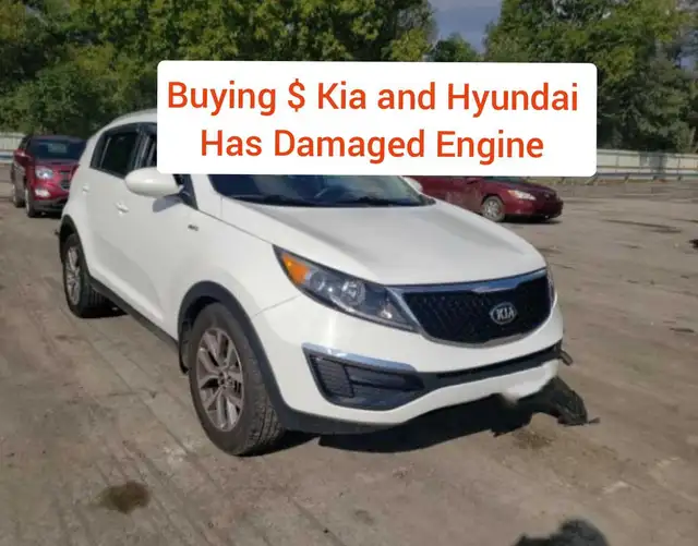 Buying : Kia and Hyundai (has  damaged engine )
