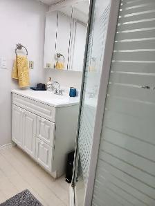 Fully reovated and furnished basement suite - Photo 11