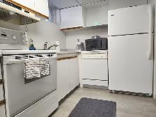Fully renovatedand  furnished basement suite - Photo 7