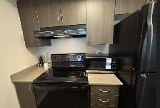 Luxury 1BR Downtown Toronto | Fully Furnished| Short Term Rental - Photo 8