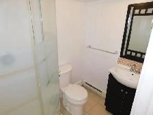 Great HFX South-end Bachelor Apartment - VIDEO TOUR! - Photo 10