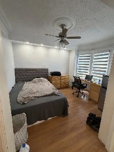 Three Rooms for Renting In Downtown of Hamilton - Photo 3