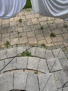 Borrow wash and repair Interlock