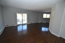 Renovated 1-bedroom with Balcony - Avail now or Aug - 114 George - Photo 7