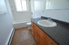 Renovated 1-bedroom with Balcony - Avail now or Aug - 114 George - Photo 10