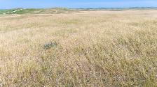 Mixed Use Farmland For Sale | Near Crestwynd, SK - Photo 5