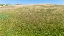 Mixed Use Farmland For Sale | Near Crestwynd, SK - Photo 6