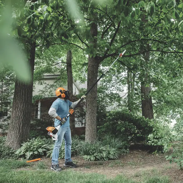 STIHL Telescoping Pole Chainsaw