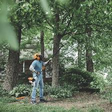 STIHL Telescoping Pole Chainsaw