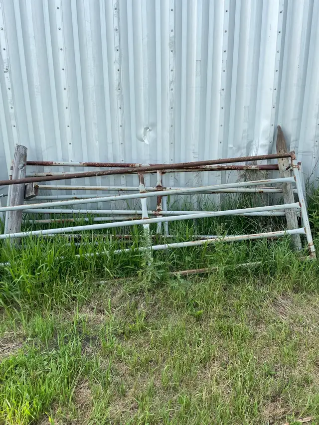 fence posts and gates