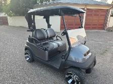 Electric Golf Cart - Photo 2