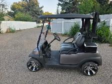 Electric Golf Cart - Photo 3