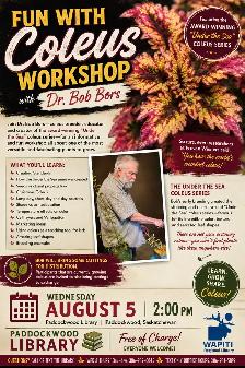 Fun with Coleus