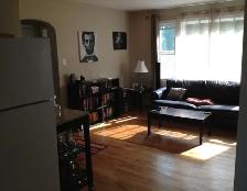1 Bedroom Apartment - Photo 5