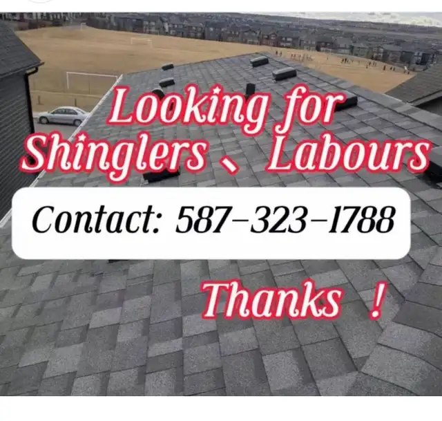 looking for roof shinglers and abours