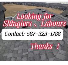 looking for roof shinglers and abours