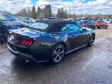 2025 Ford Mustang Convertible - Photo 3