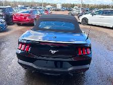 2025 Ford Mustang Convertible - Photo 4